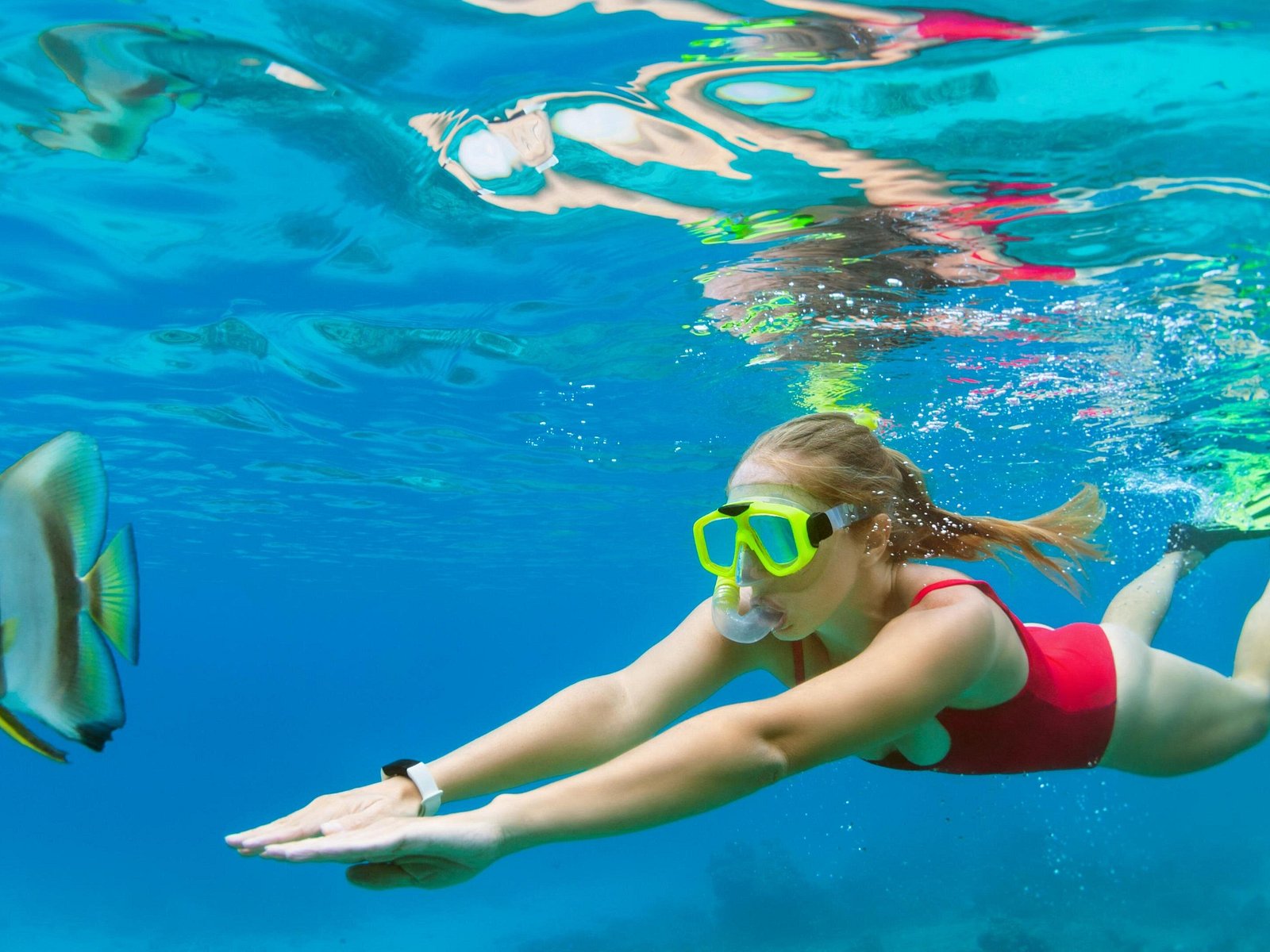 Snorkel Tour — experience view 2