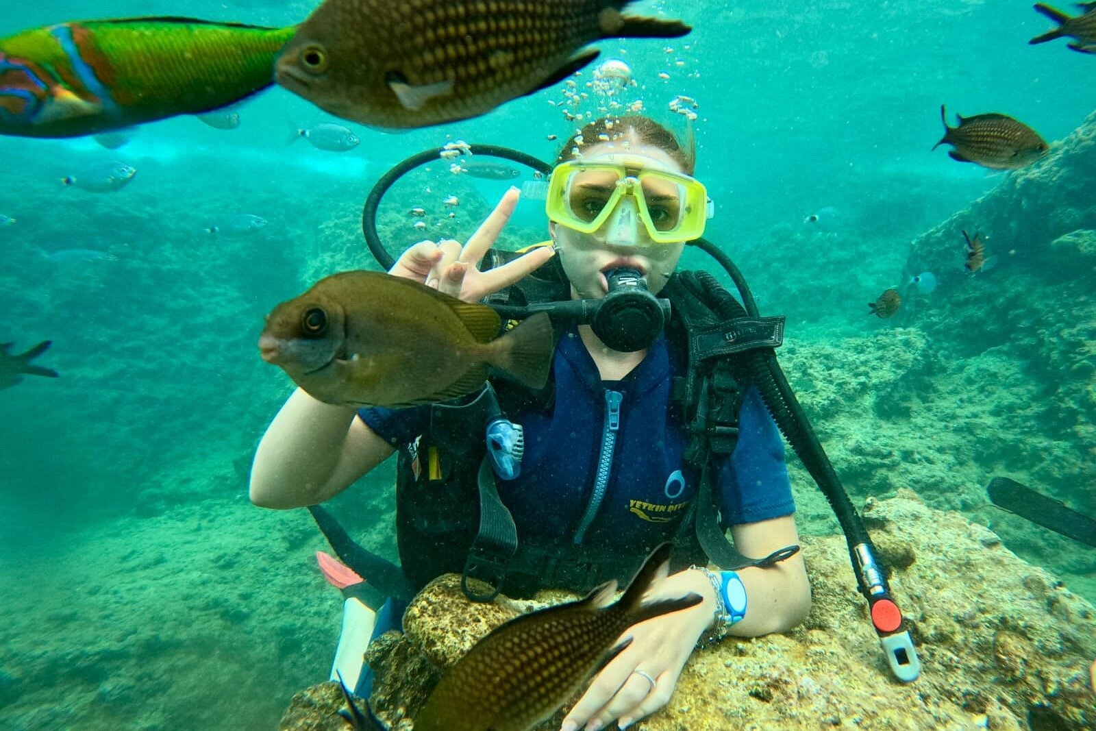 Snorkel Tour — experience view 4