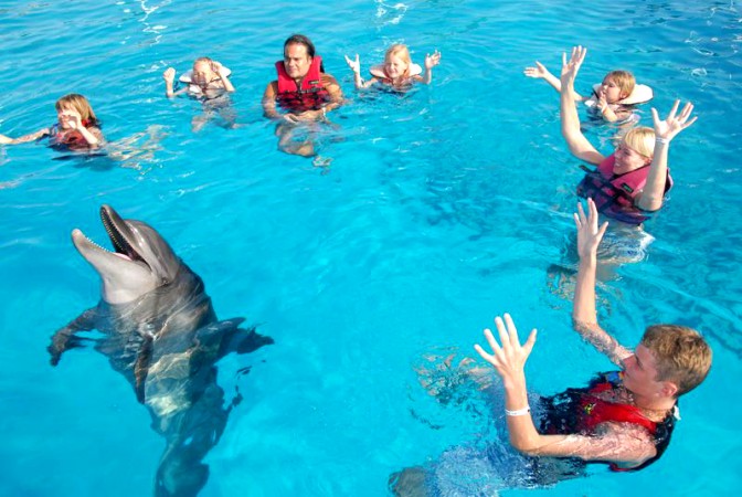 Seapark Alanya — experience view 4