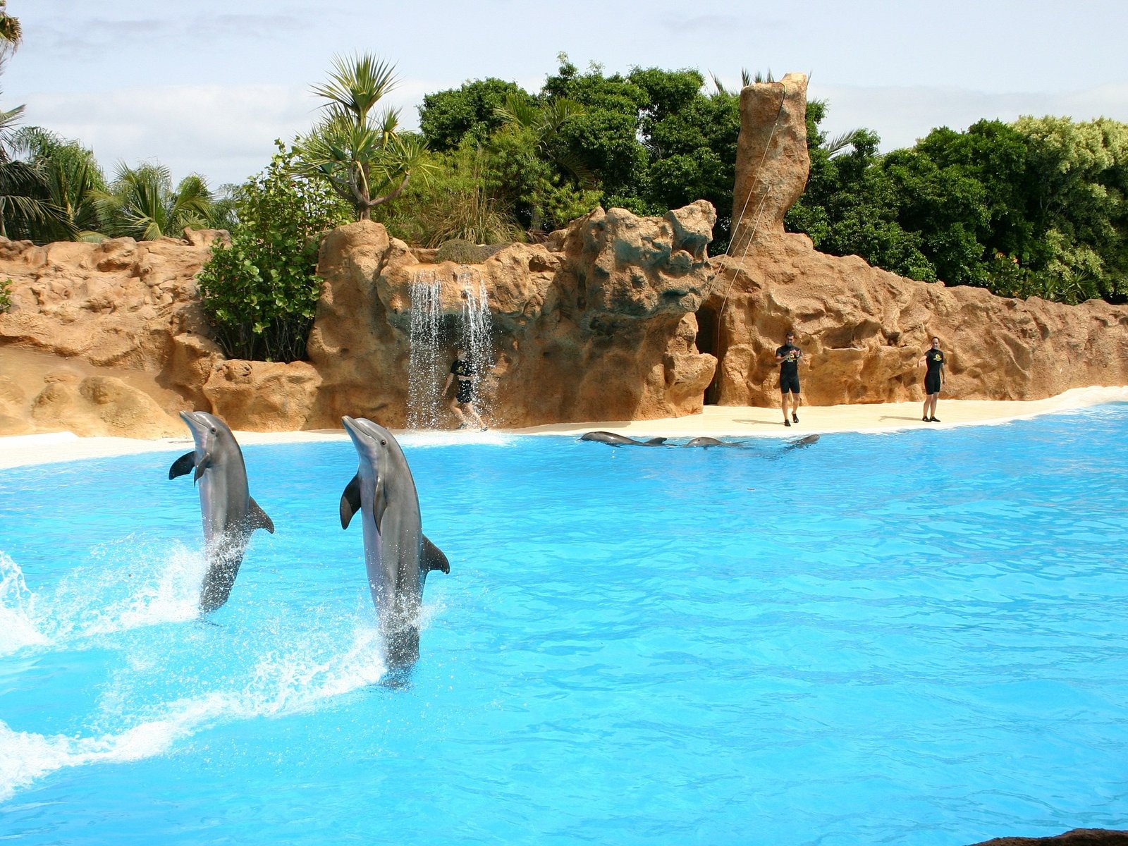 Dolphin Park Sealanya from Side — experience view 2